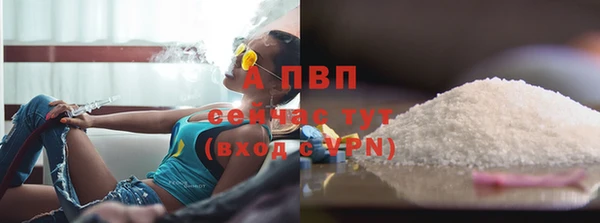 твердый Абаза