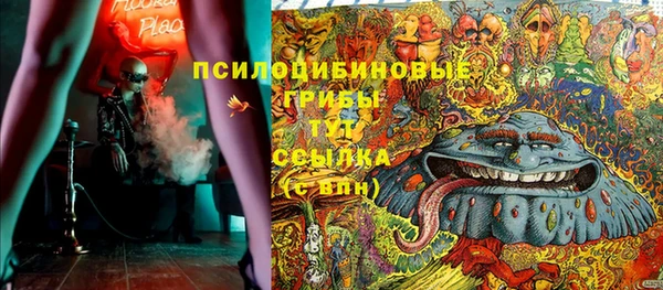 твердый Абаза