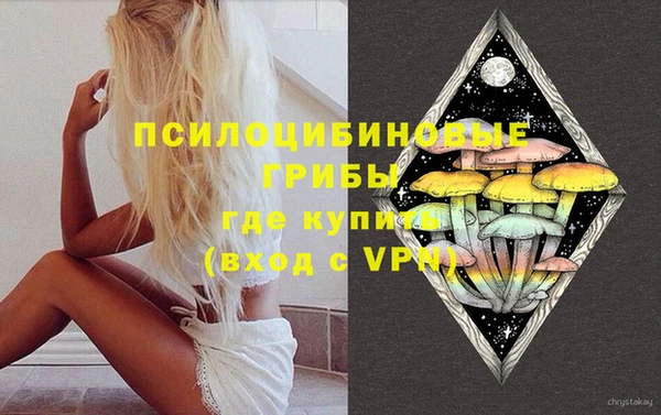 твердый Абаза